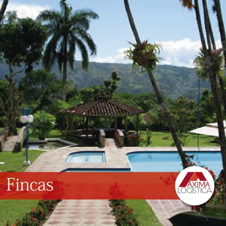 fincas